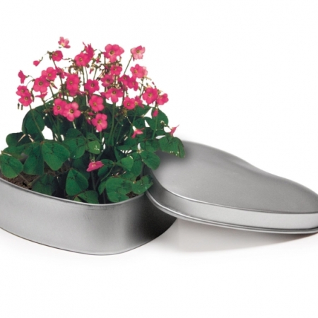 4162 - Tin in hartvorm