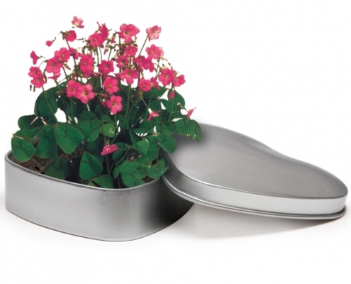 4162 - Heart shaped tin