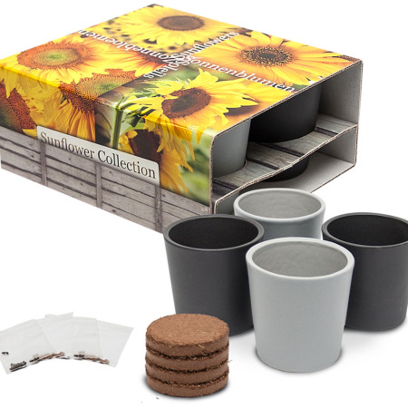 4 pots en céramique, des tournesols