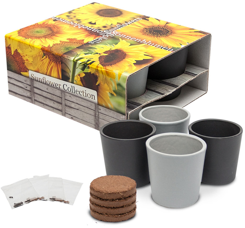 4351 - 4 Keramiktöpfe, Sonnenblumen